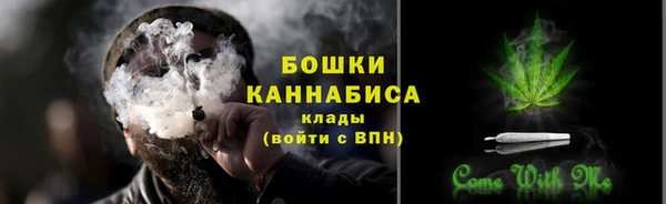 мет Лагань