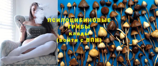 ГАЛЛЮЦИНОГЕННЫЕ ГРИБЫ Алексеевка