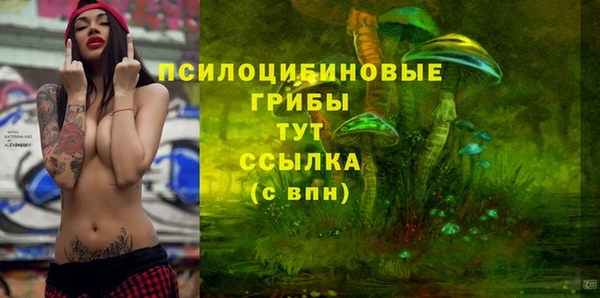прущие крисы Алексин
