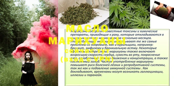 индика Лабытнанги