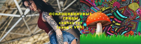 прущие крисы Алексин